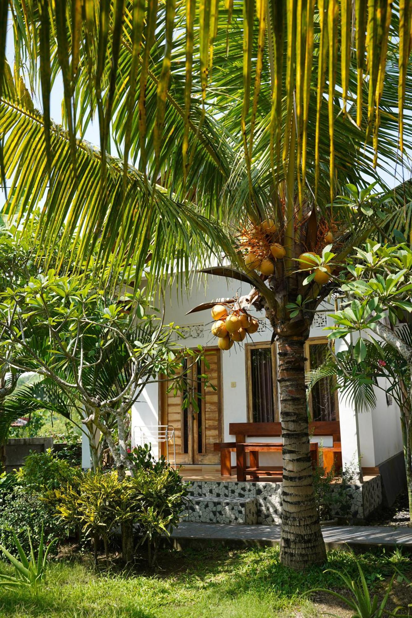 Wahyu Masari Homestay Sakti エクステリア 写真